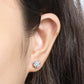 ✨Prachtige klassieke moissanite oorknopjes met zes pootjes