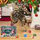 Kerst Kat & Hond Speelgoed Adventskalender