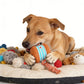 🎁2026 New Arrivals 50% OFF💥Interactive Rolling Ball Toy for Dogs