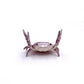 🔥LAATSTE DAG 50% KORTING💥❤️🤣 Grappige hot sale - 🦀 Schattige pennenhouder in de vorm van een krab
