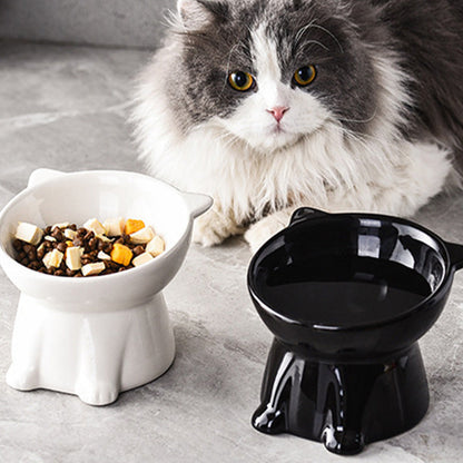 🐱 TIJDELIJKE AANBIEDING: 50% KORTING! ✨ Ergonomische verhoogde kattenbak – 15° helling, antislip