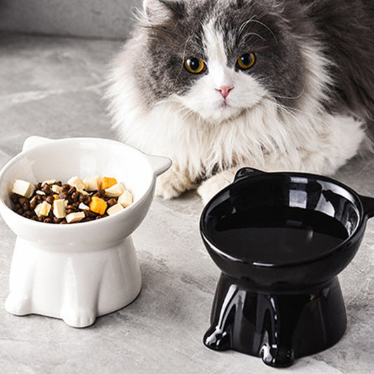 🐱 TIJDELIJKE AANBIEDING: 50% KORTING! ✨ Ergonomische verhoogde kattenbak – 15° helling, antislip
