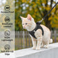 Reflecterend Mesh Tuigje en Riem Set voor Katten & Kleine Honden