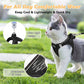 Reflecterend Mesh Tuigje en Riem Set voor Katten & Kleine Honden