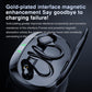 Oorhaak AI Vertaling Bluetooth Oordopjes