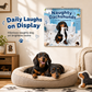 50% KORTING – Wandkalender met Grappige Teckels – 12 Maanden Vol Ondeugende Honden & Humor